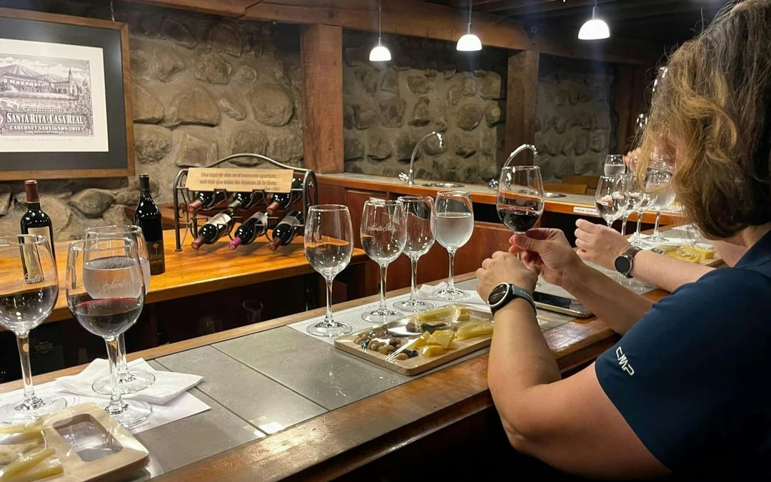 Santa Rita Vineyard Tour with Lunch, an Unforgettable Day! Image 2
