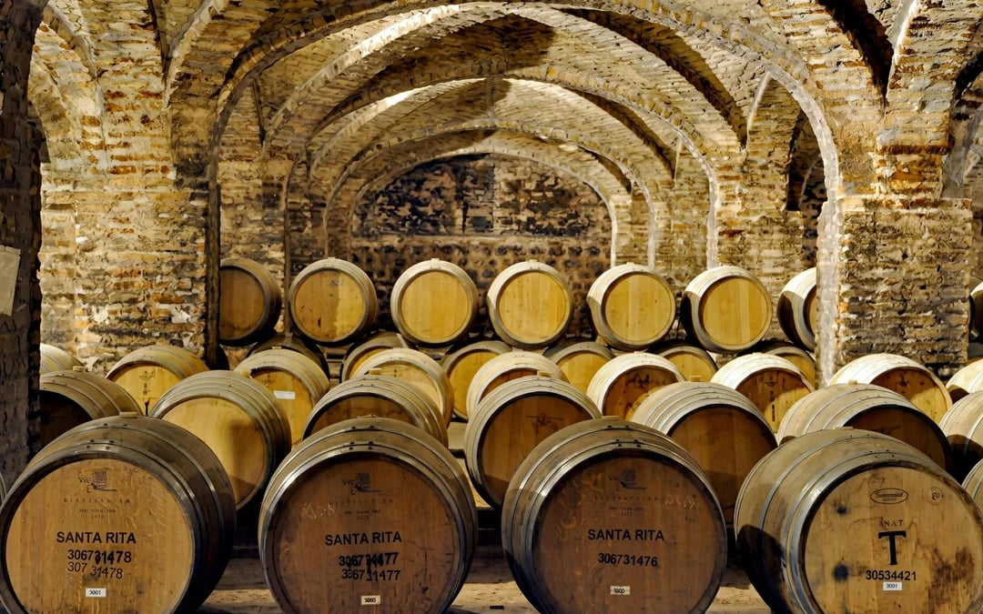 Santa Rita Vineyard Tour with Lunch, an Unforgettable Day! Image 3
