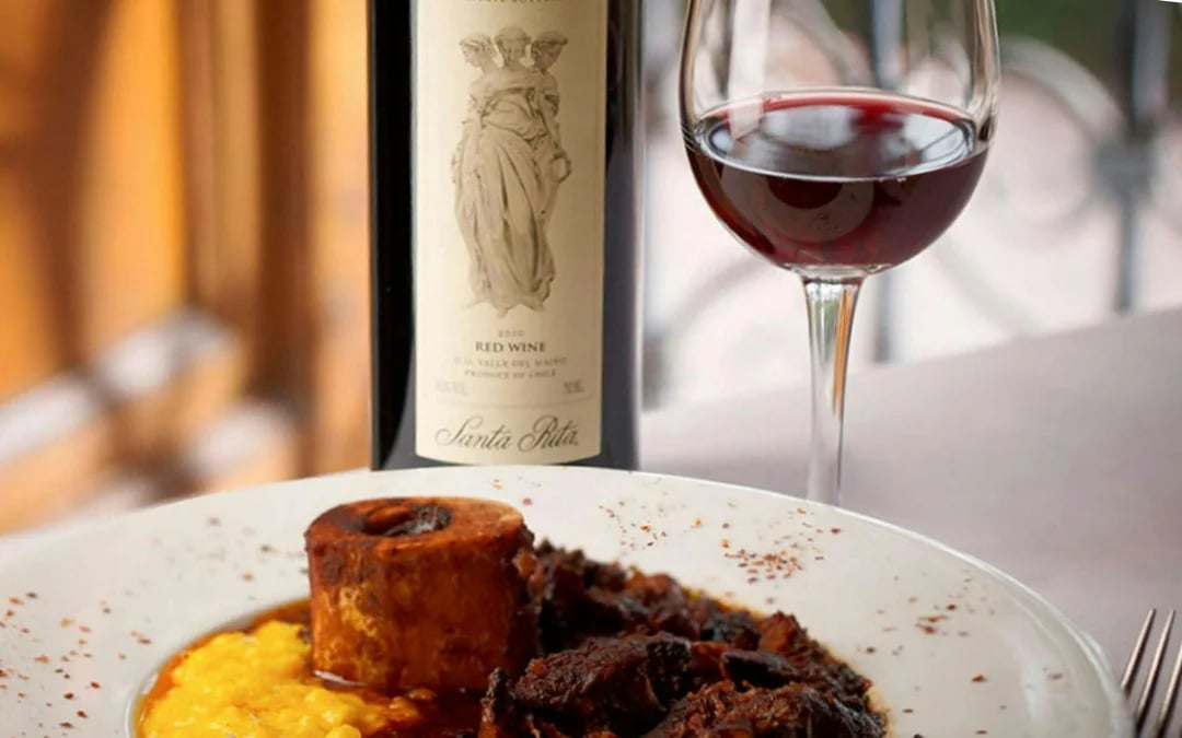 Santa Rita Vineyard Tour with Lunch, an Unforgettable Day! Image 4