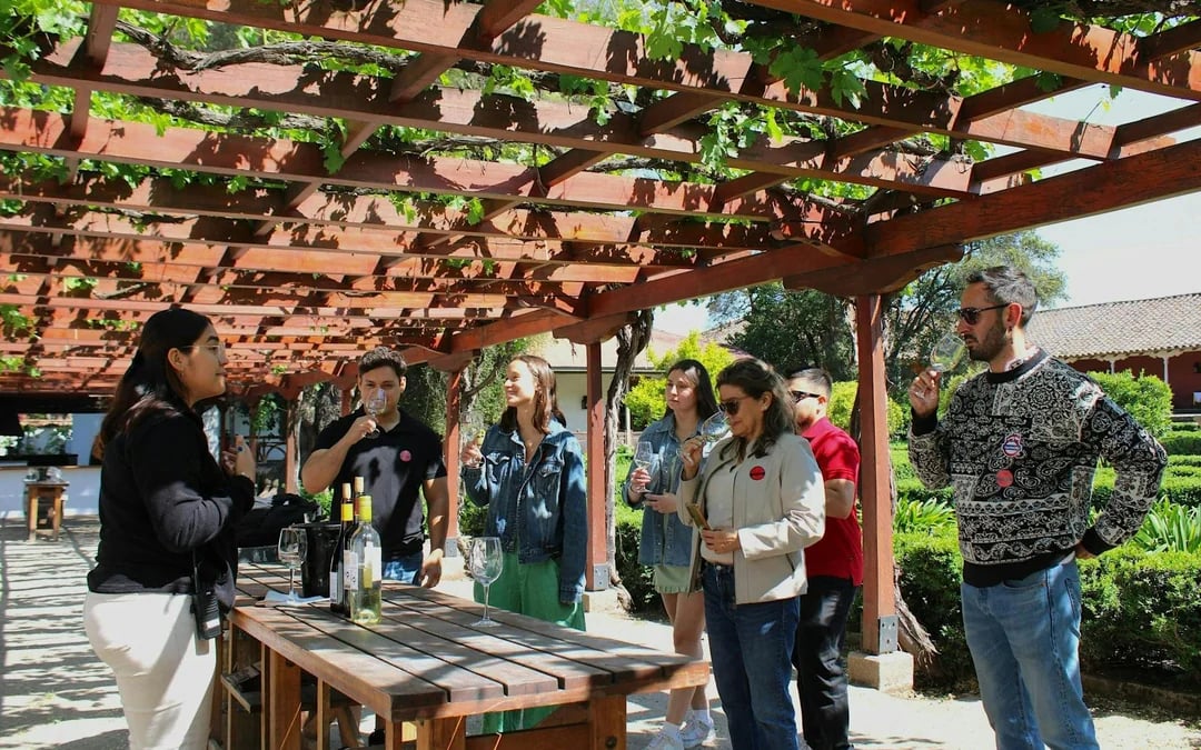 Santa Rita Vineyard Tour with Lunch, an Unforgettable Day! Image 6