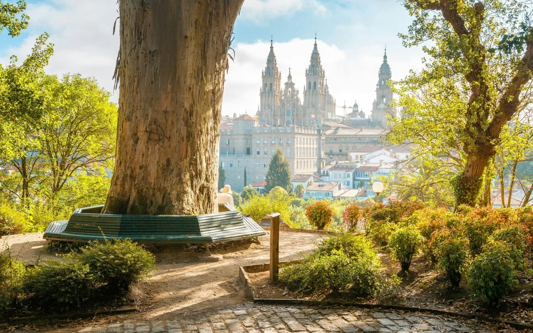 Santiago de Compostela Historic Center, Museum & Cathedral Guided Tour Image 4