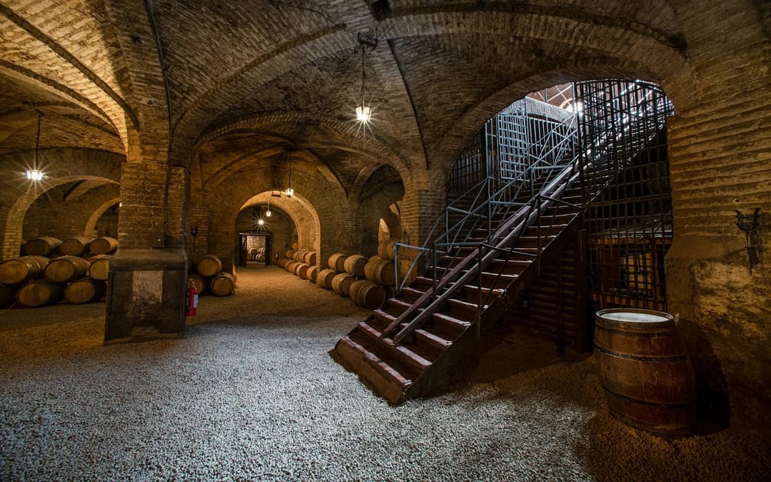 Santiago Hop-On Hop-Off Bus Tour: 2 Routes + Cerro San Cristóbal Cable Car & Santa Carolina Wine Tour Image 5