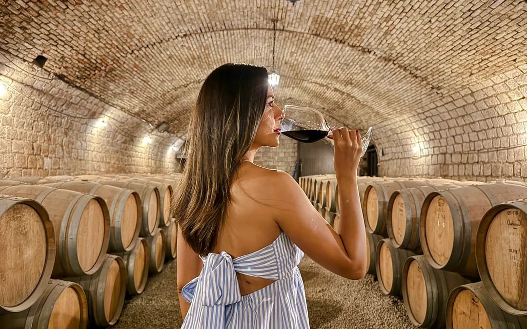 Santiago Hop-On Hop-Off Bus Tour: 2 Routes + Cerro San Cristóbal Cable Car & Santa Carolina Wine Tour Image 7