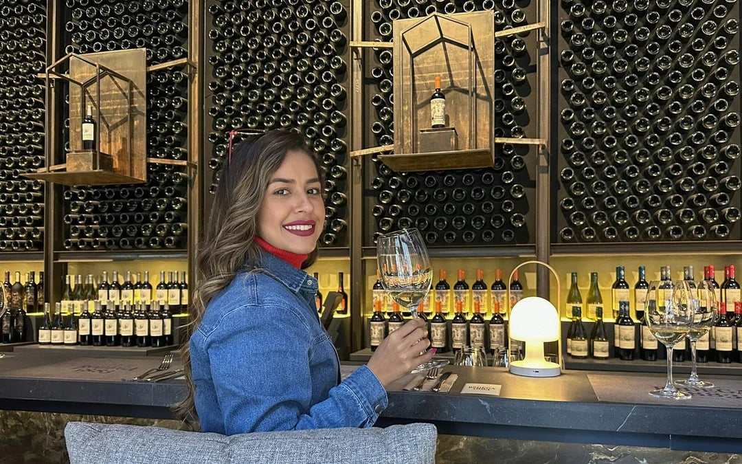 Santiago: Official Transfer to Concha y Toro Winery Image 1