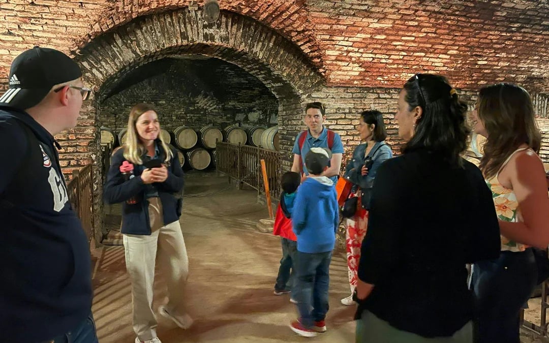Santiago: Official Transfer to Concha y Toro Winery Image 4
