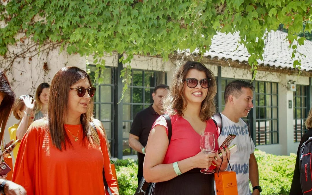 Santiago: Official Transfer to Concha y Toro Winery Image 5