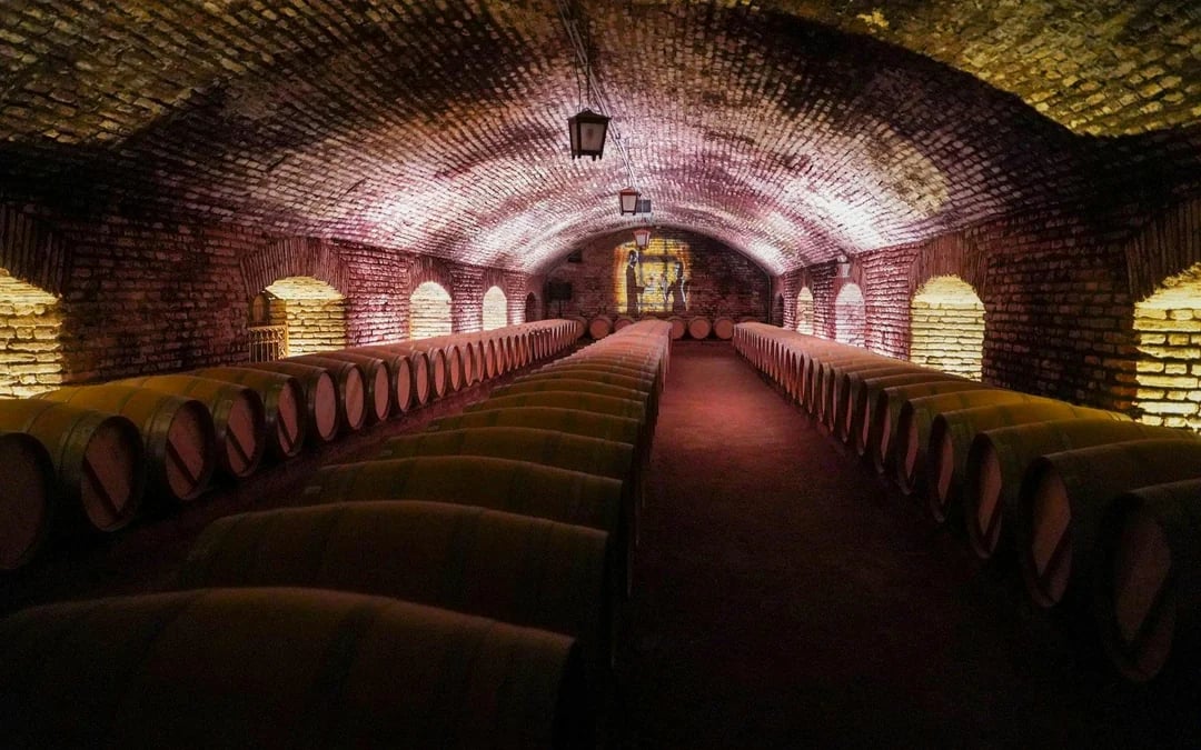 Santiago: Official Transfer to Concha y Toro Winery Image 7