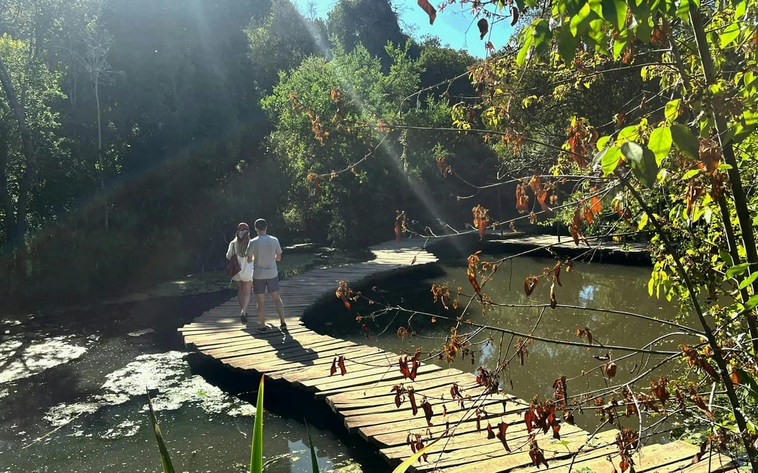 Santiago: Tricao Park, Isla Negra, and Pablo Neruda's Museum Image 1