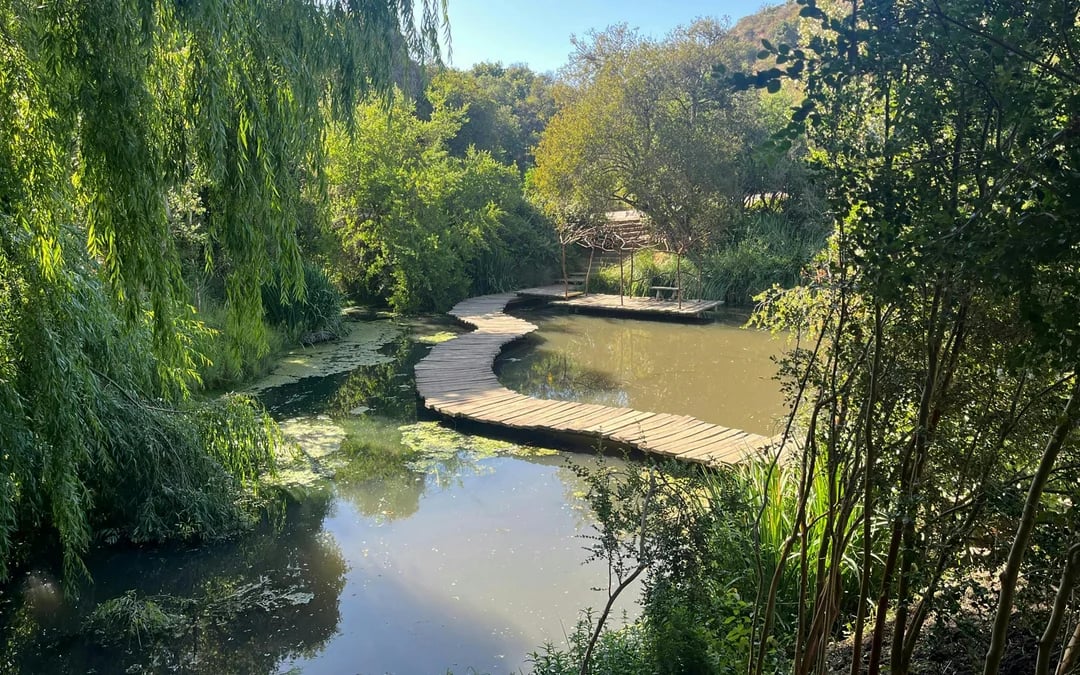 Santiago: Tricao Park, Isla Negra, and Pablo Neruda's Museum Image 5