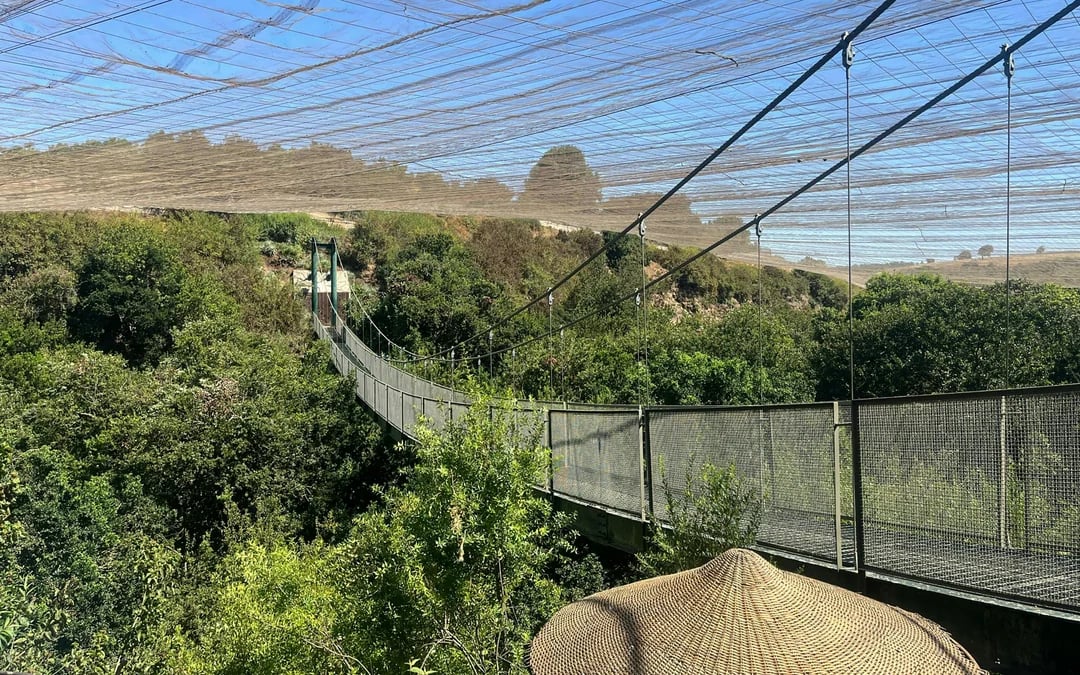Santiago: Tricao Park, Isla Negra, and Pablo Neruda's Museum Image 6