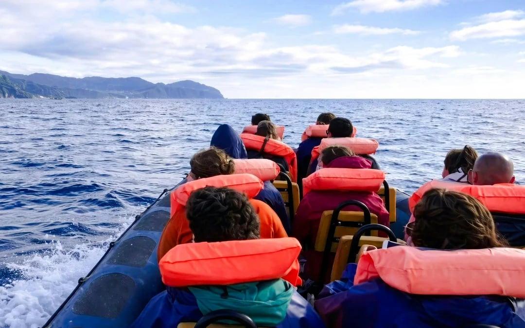 São Miguel: Whale Watching Boat Tour Image 3