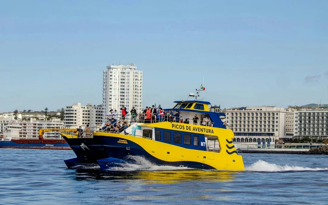 São Miguel: Whale Watching Boat Tour Image 5