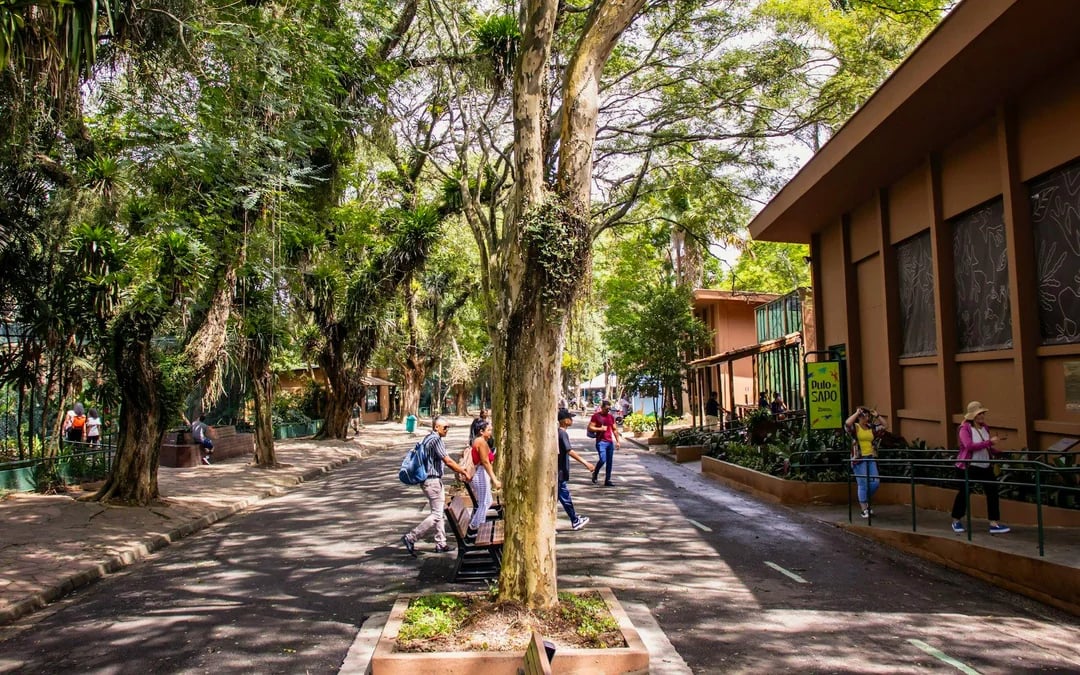 São Paulo Zoo Tickets Image 10