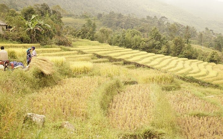 Sapa Motorbike Tour to Dragon Waterfall and Hidden Village with Lunch and Entrance Tickets Image 4