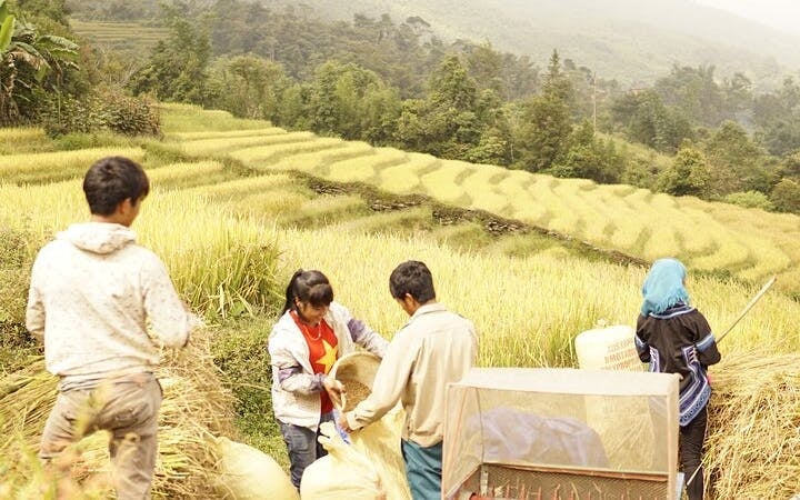 Sapa Motorbike Tour to Dragon Waterfall and Hidden Village with Lunch and Entrance Tickets Image 7