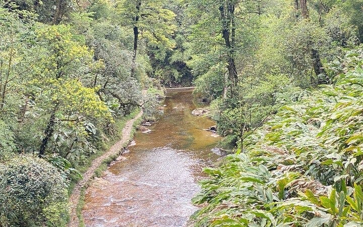 Sapa Private Guided Motorbike Tour of Hidden Valleys and Villages with Meals and Entrance Fees Image 4