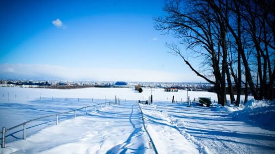 Sapporo Hitsujigaoka Observation Hill experience image 3
