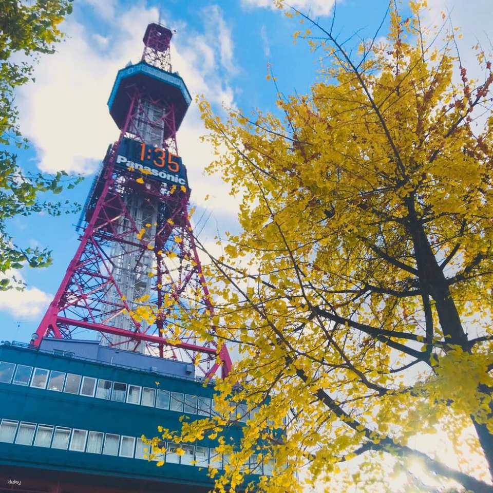 Sapporo TV Tower Observation Deck Ticket|Japan