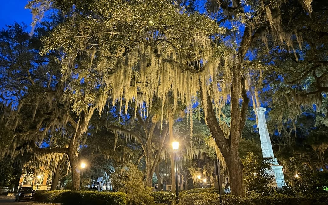 Savannah Historic District Small-Group Ghost Walking Tour Image 4