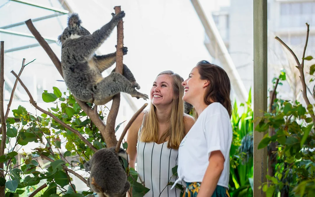 [Save upto 55%] Sydney 4 Attractions Pass  Image 4