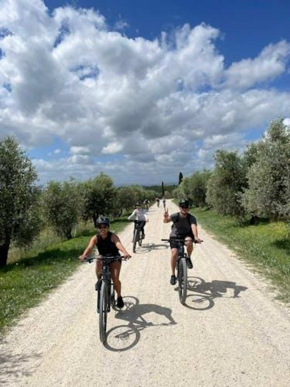 Scenic E-Bike Tour in Chianti Wine Region with Lunch