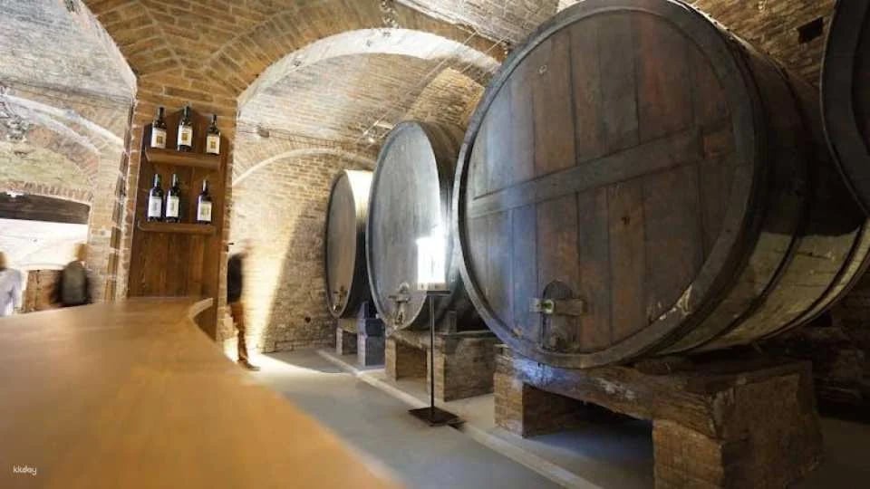 Scenic E-Bike Tour in Chianti Wine Region with Lunch