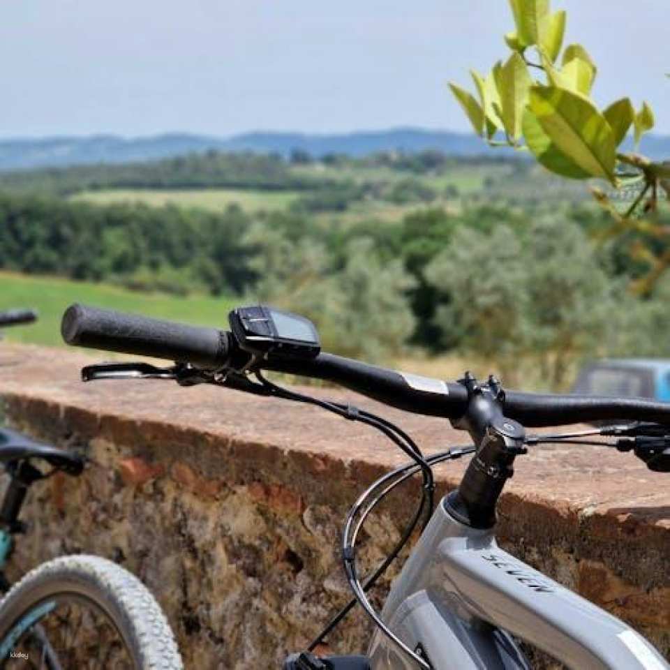 Scenic E-Bike Tour in Chianti Wine Region with Lunch