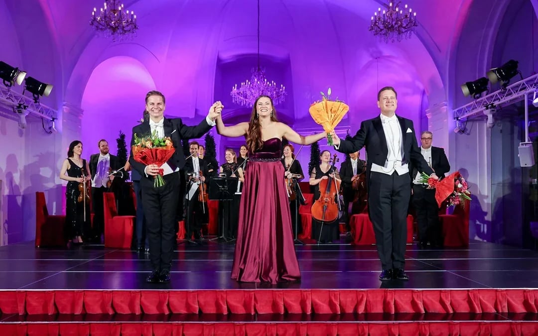 Schönbrunn Palace: Christmas Market, Palace Tour & Concert Image 8