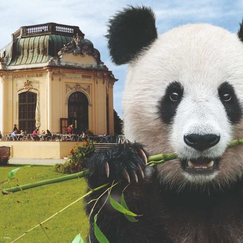 Vienna Schönbrunn Zoo Skip the line Ticket