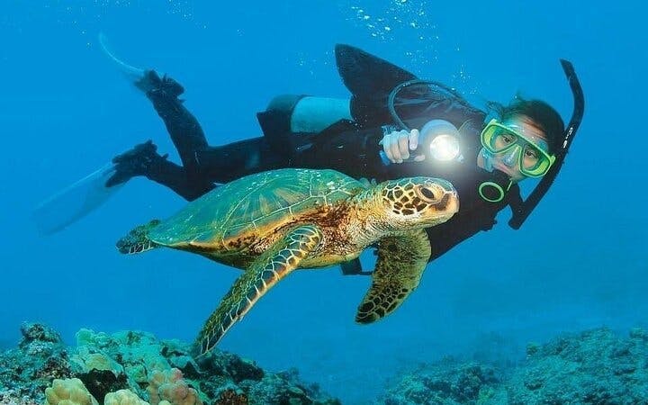 Scuba Diving and Snorkeling Trip in Side Image 1