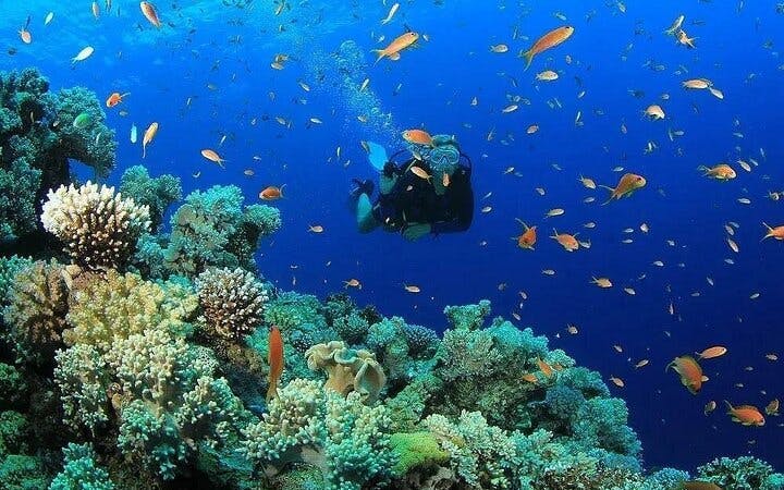 Scuba Diving and Snorkeling Trip in Side Image 5