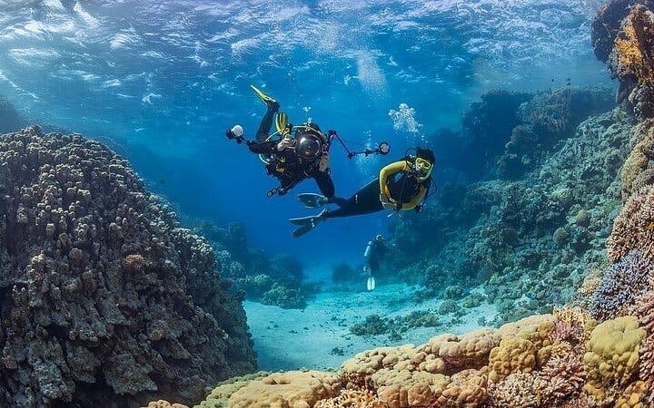 Scuba Diving and Snorkeling Trip in Side Image 9
