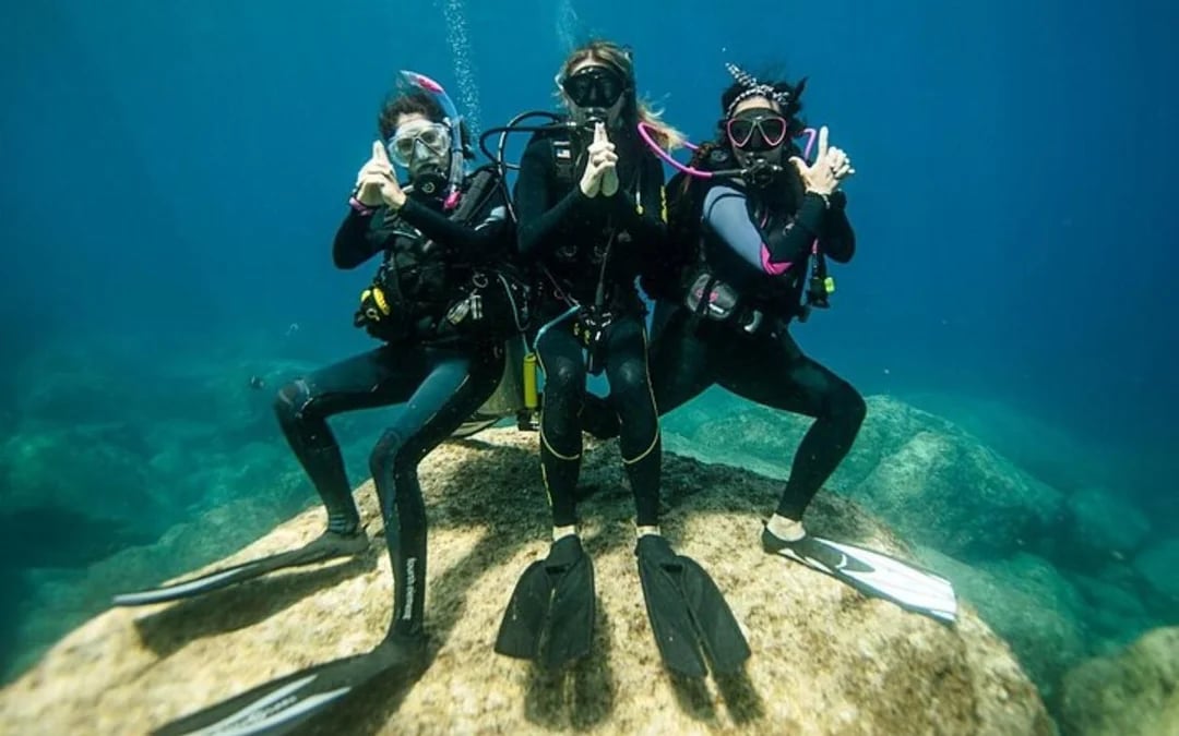Scuba Diving Day Trip with Two Guided Dives and Lunch in Sharm El Sheikh Image 2