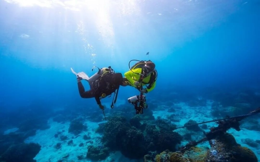 Scuba Diving Day Trip with Two Guided Dives and Lunch in Sharm El Sheikh Image 3