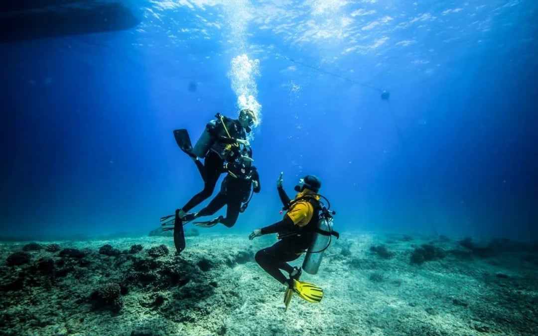 Scuba Diving Day Trip with Two Guided Dives and Lunch in Sharm El Sheikh Image 4