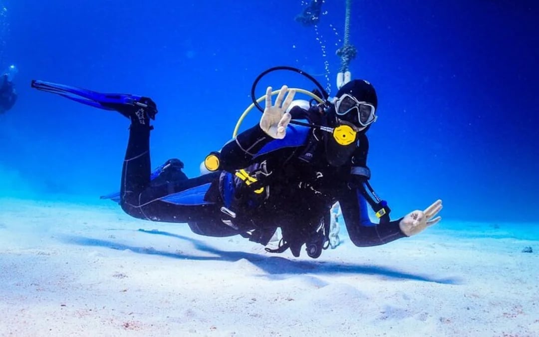 Scuba Diving Day Trip with Two Guided Dives and Lunch in Sharm El Sheikh Image 8