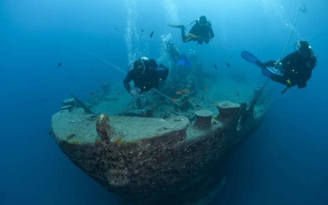 Scuba Diving Day Trip with Two Guided Dives and Lunch in Sharm El Sheikh Image 9