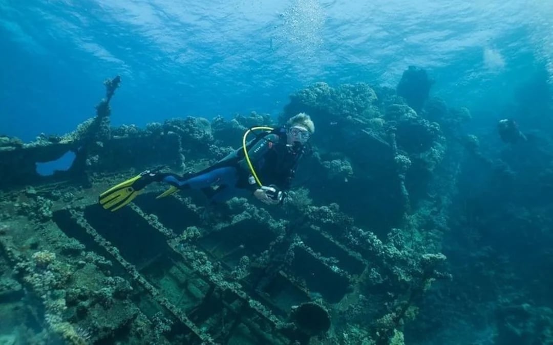 Scuba Diving Day Trip with Two Guided Dives and Lunch in Sharm El Sheikh Image 10