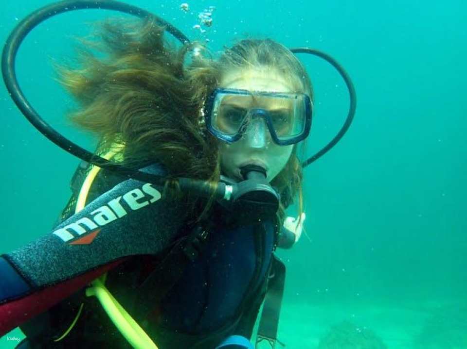 Scuba diving trip from Santa Pola