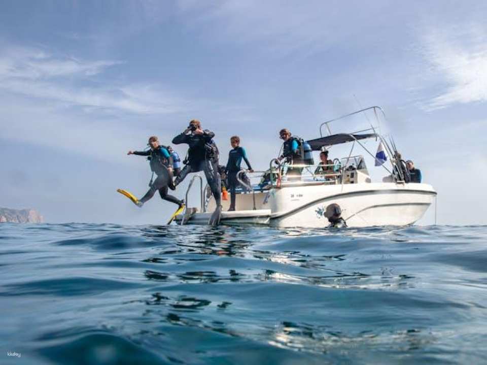 Scuba tour with one dive from Bonaire Harbour for certified divers