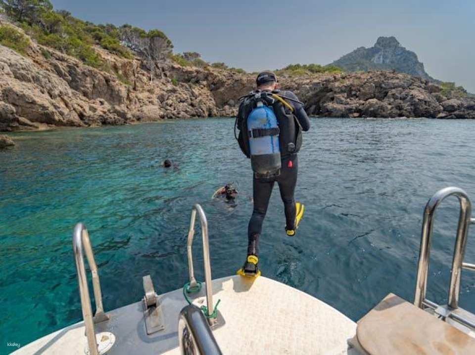 Scuba tour with one dive from Bonaire Harbour for certified divers