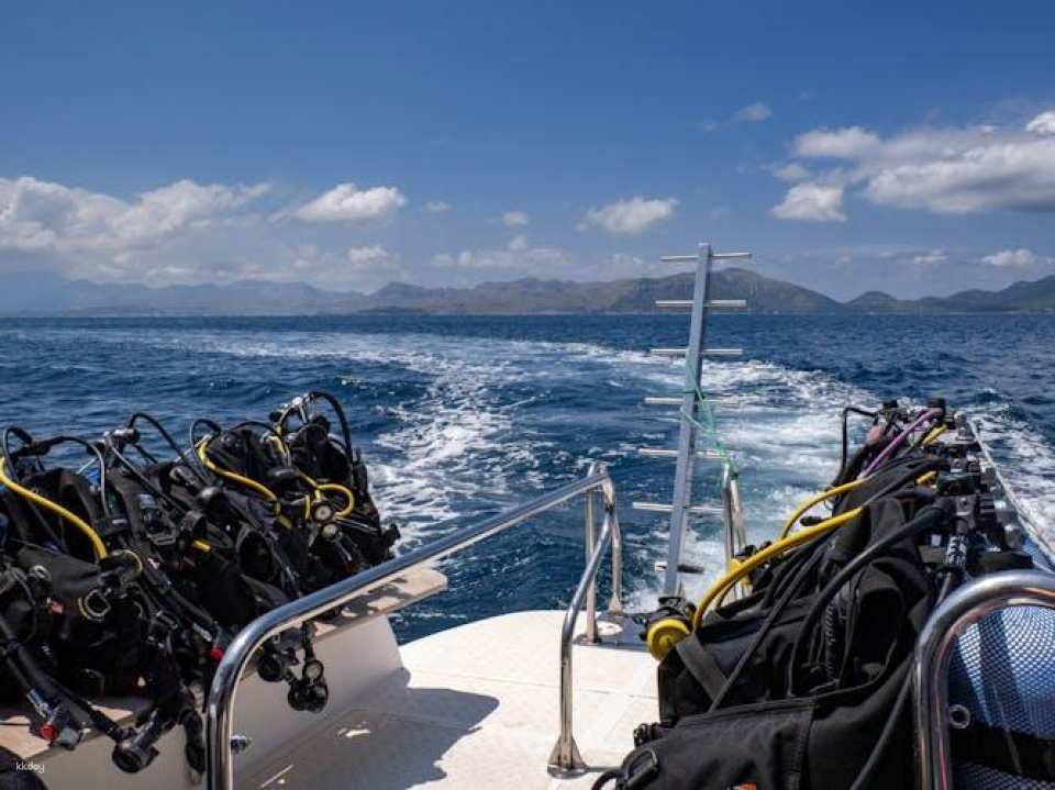 Scuba tour with one dive from Bonaire Harbour for certified divers