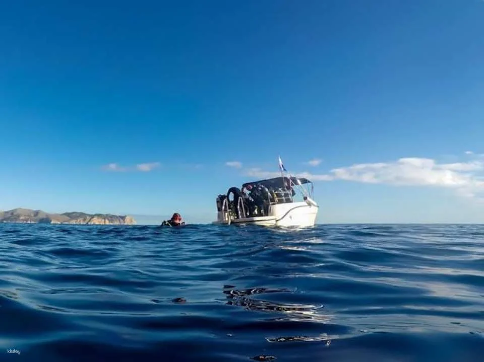 Scuba tour with one dive from Bonaire Harbour for certified divers