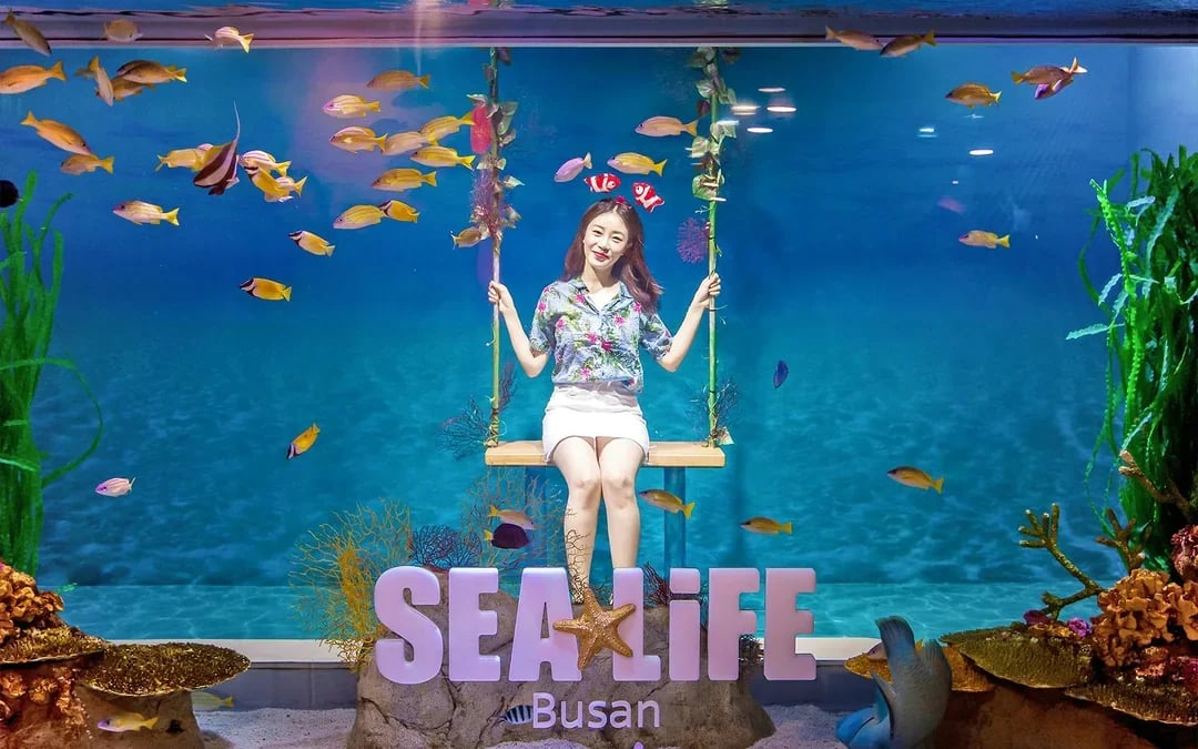 SEA LIFE Aquarium Busan Entry Tickets with Lotte Voucher Image 1