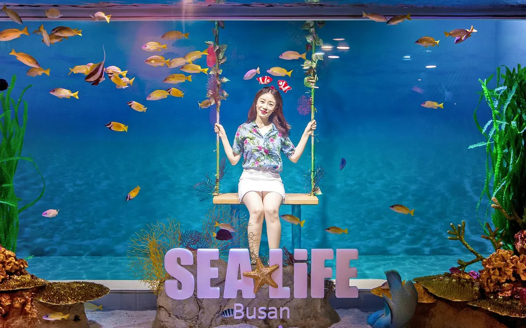 SEA LIFE Aquarium Busan Entry Tickets with Lotte Voucher Image 1