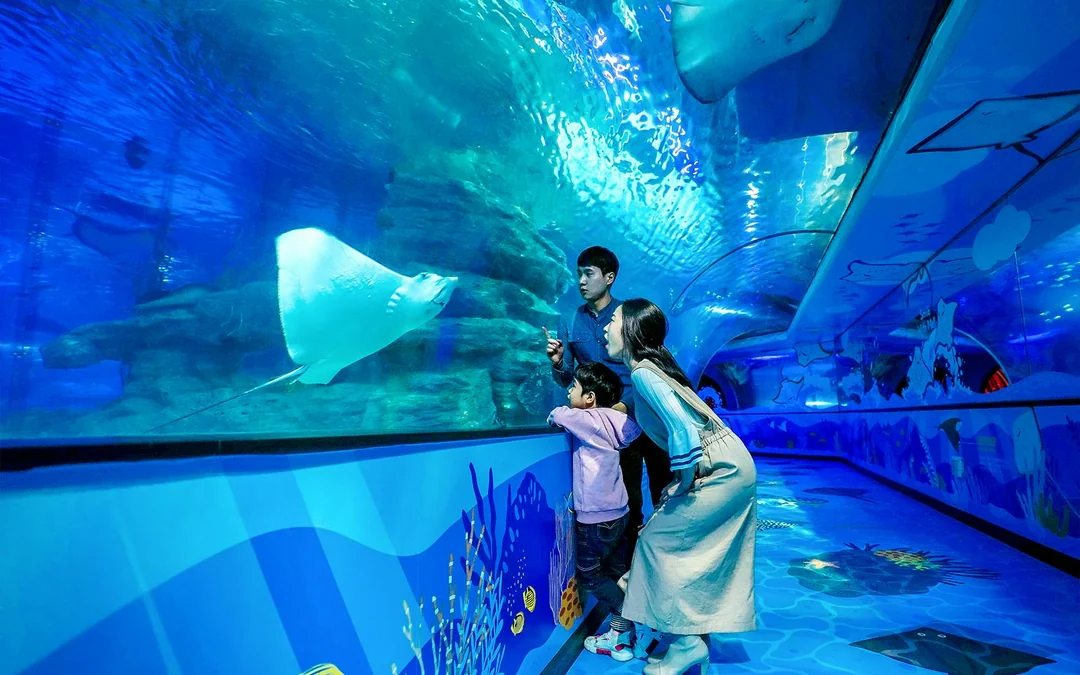 SEA LIFE Aquarium Busan Entry Tickets with Lotte Voucher Image 2