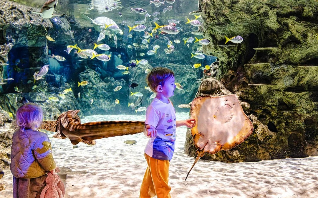 SEA LIFE Brighton: Anytime Entry Ticket Image 2