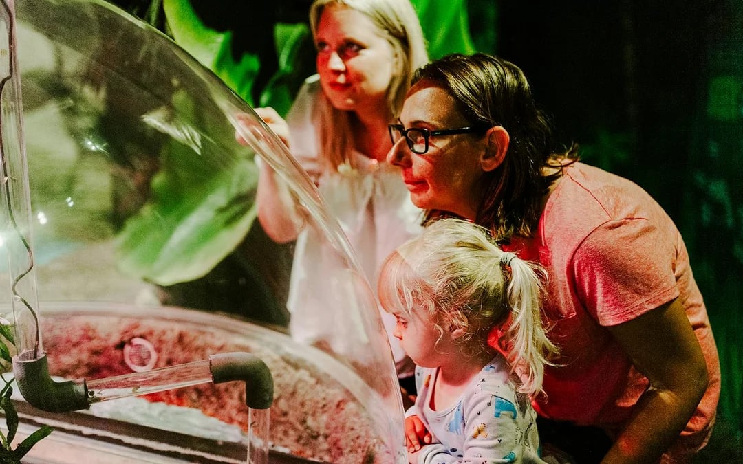 SEA LIFE Brighton: Anytime Entry Ticket Image 3