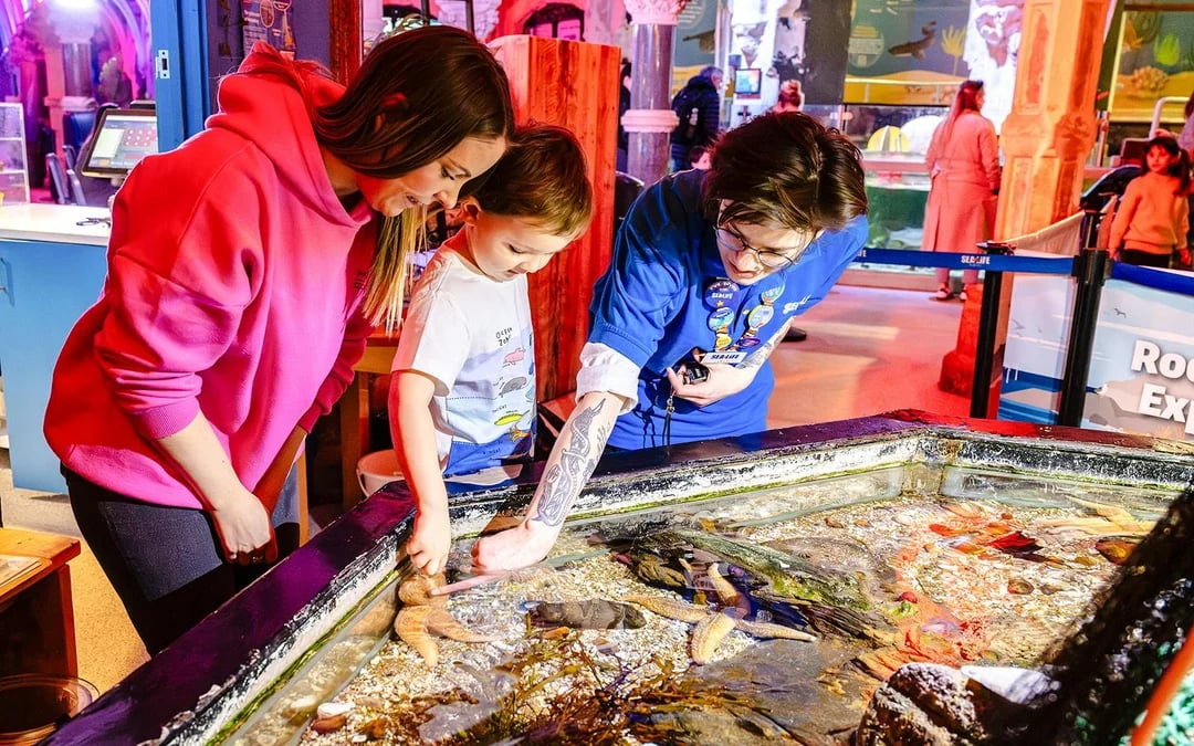 SEA LIFE Brighton: Anytime Entry Ticket Image 5