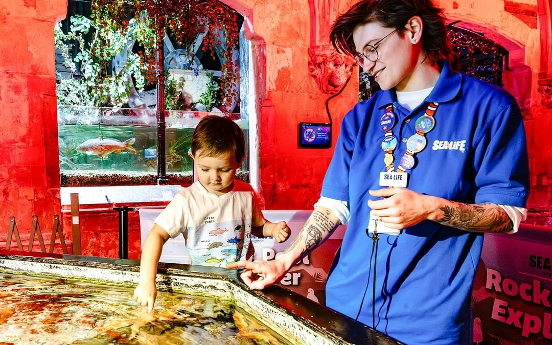 SEA LIFE Brighton: Anytime Entry Ticket Image 7